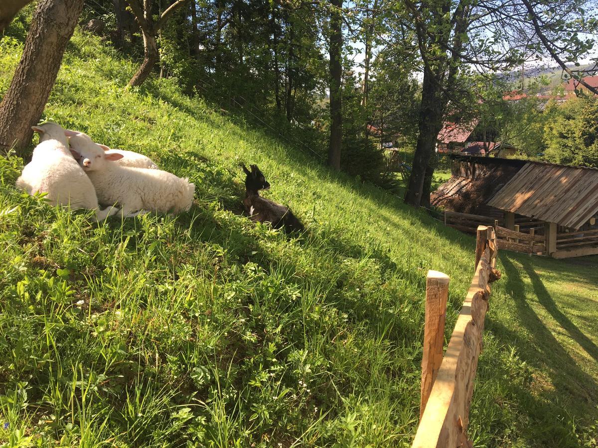 Chata Penzión Škerda Zuberec Exterior foto